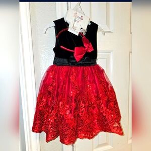 Holiday  Black and Red Floral Toddler Dress